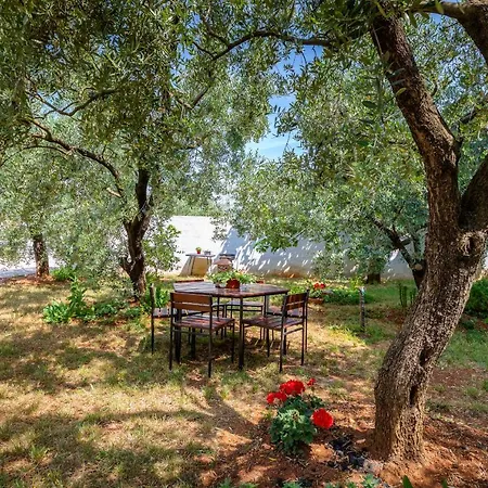 Luana A1 Apartament